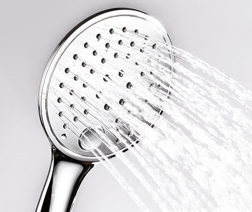 Лейка душевая WasserKRAFT  A060  